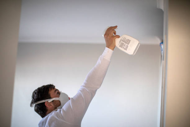 Best Bathroom Mold Remediation in Green Island, NY